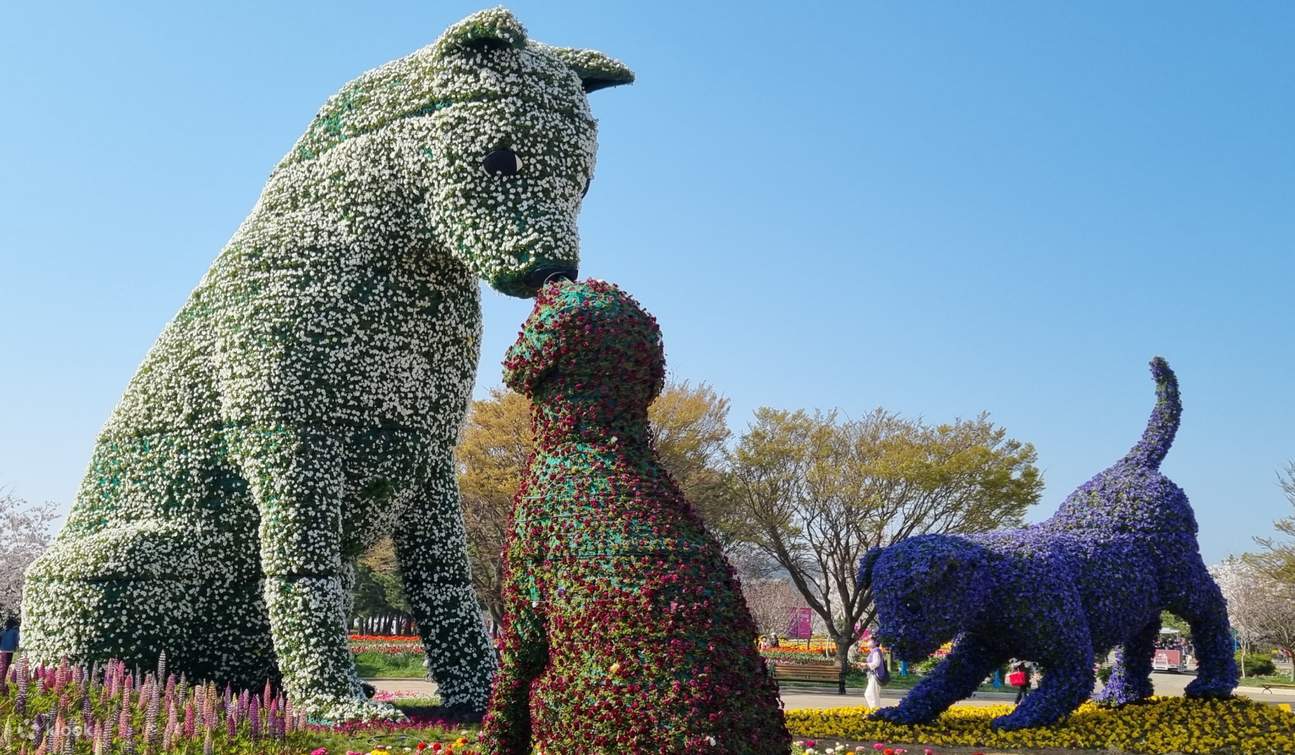 2024 [Spring] Taean Tulip Festival and Flower Park Day Tour Klook